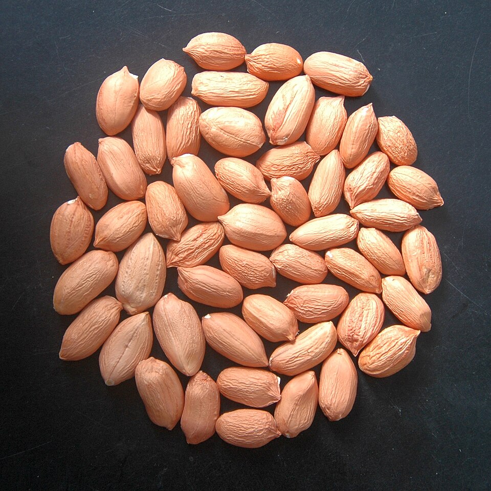 SIGO Cold Pressed Groundnut Oil